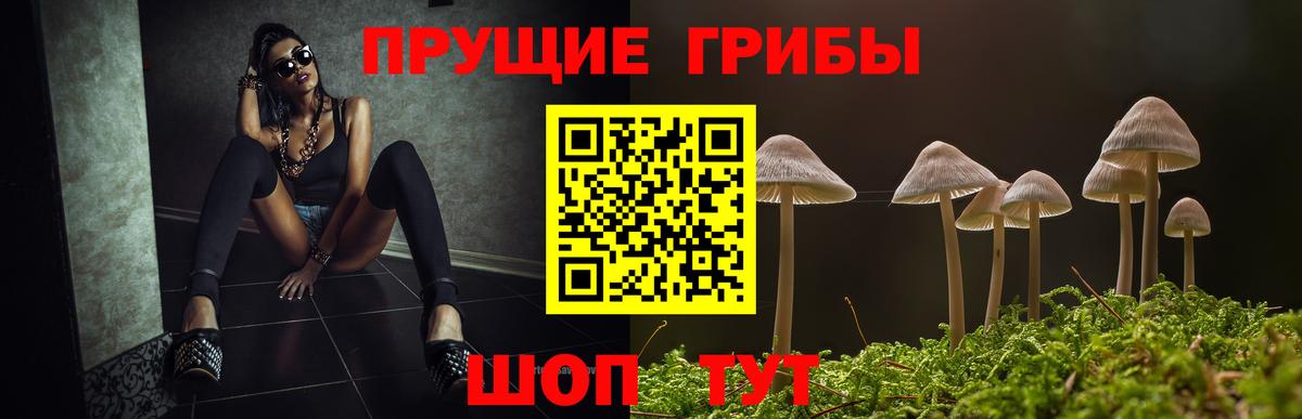 Псилоцибиновые грибы мицелий  Галлюциногенные грибы ЛСД  хочу наркоту  Домодедово  Вход с VPN 